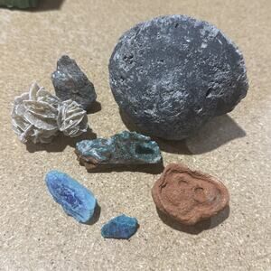 Mixed Mineral Specimen Lot Desert Rose Possible Fossil Unique Natural Rocks